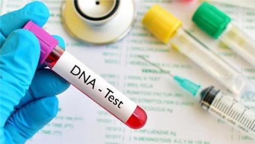 Xét nghiệm ADN như thế nào cho đúng luật