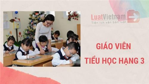 Giáo viên tiểu học hạng 3: Tiêu chuẩn và chế độ