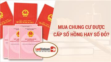 Năm 2026, mua chung cư được cấp Sổ hồng hay Sổ đỏ?