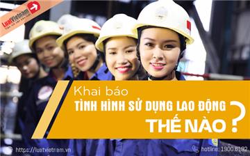 Hướng dẫn báo cáo tình hình sử dụng lao động 2026