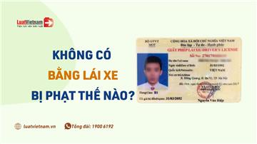 Năm 2026, không có bằng lái xe phạt bao nhiêu? 