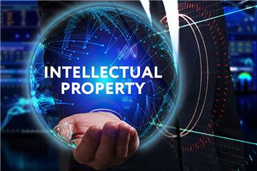 Legal Newsletter No. 25/2023