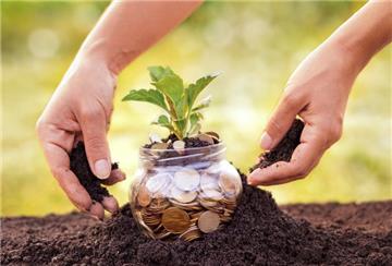 Giảm tiền thuê đất 2026: Hướng dẫn chi tiết thủ tục, mẫu đơn